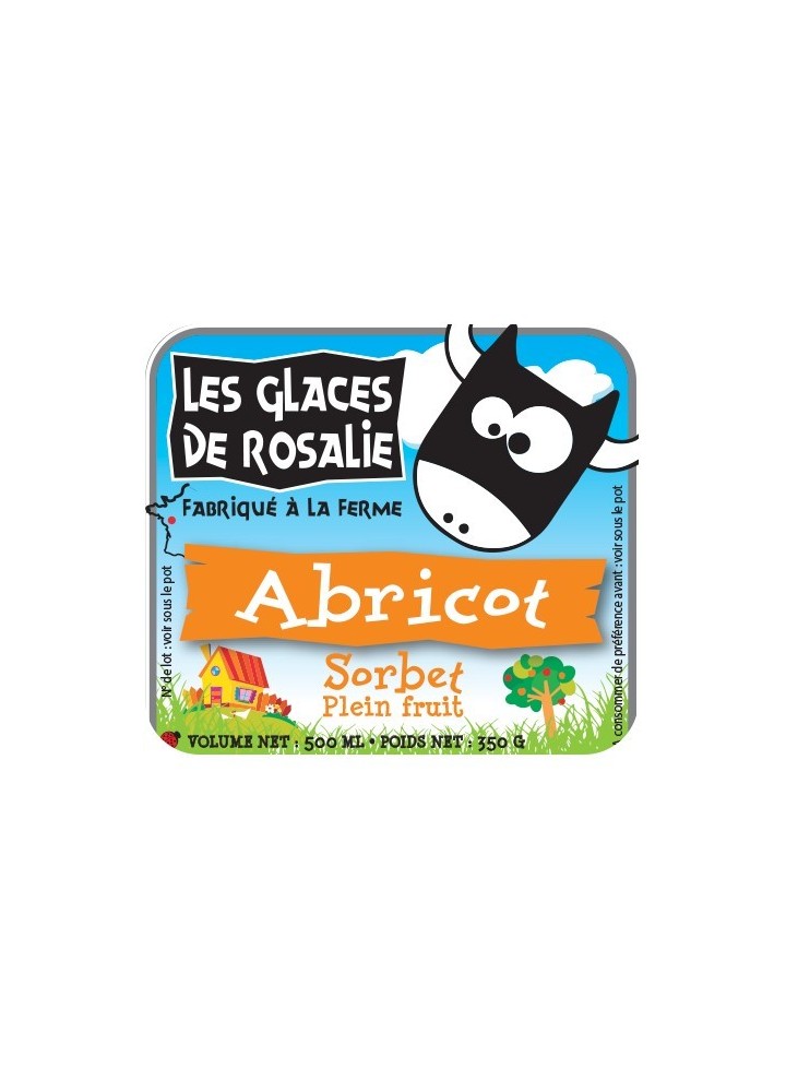 Sorbet Abricot plein fruit - les glaces de rosalie - 500ml